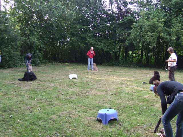 hondenschool joka